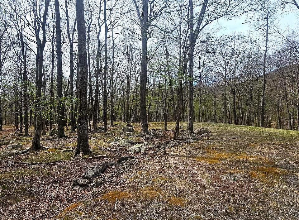 1st image of Goldenseal Rd Lot 46