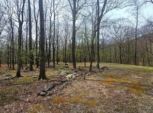 Goldenseal Rd Lot 46, Maysville, WV 26833