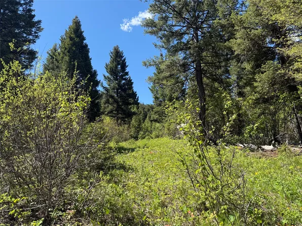 NHN Camas Springs Rd, Potomac, MT 59823