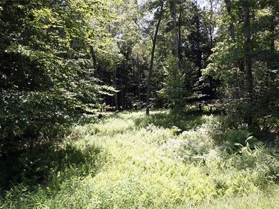  Serenity Drive, Callicoon, NY, 12723