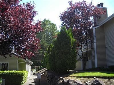 Tree lined walk to entrance