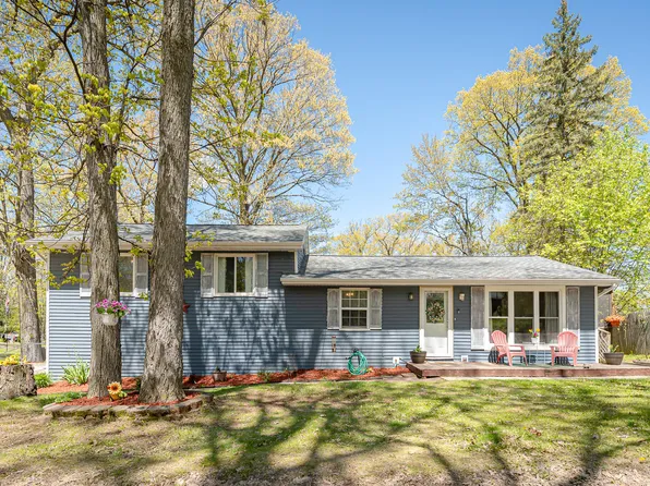 12321 Woodland Park Dr NE, Belding, MI 48809