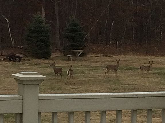 veiw from upper deck