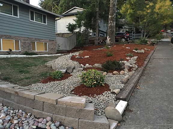 Low Maintenance Yard
