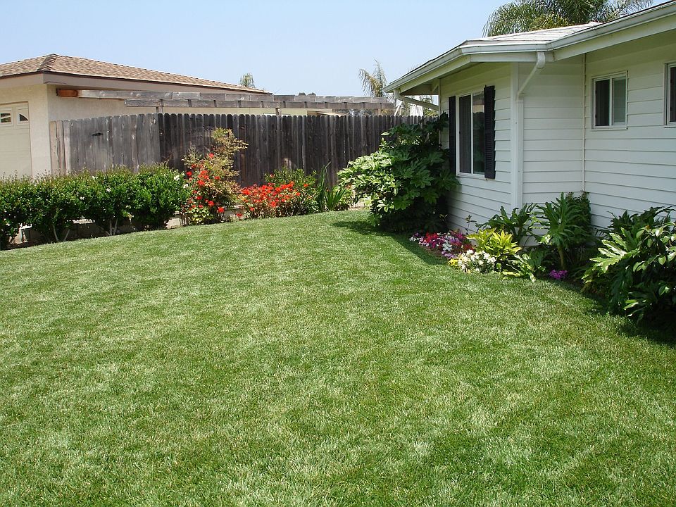 FRONT YARD