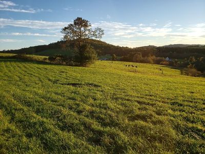 Crestview Mountain Dr Lot 44, Ennice, NC, 28623