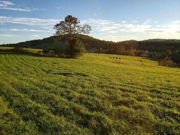 Crestview Mountain Dr Lot 44, Ennice, NC 28623