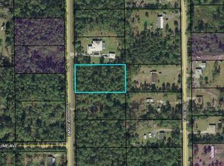 2217 Lancewood St, Bunnell, FL 32110