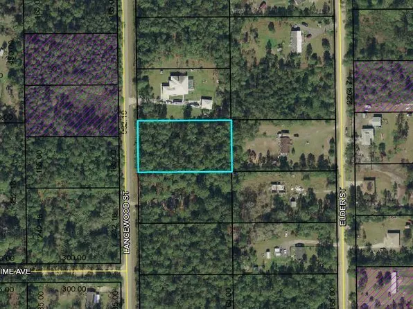 2217 Lancewood St, Bunnell, FL 32110