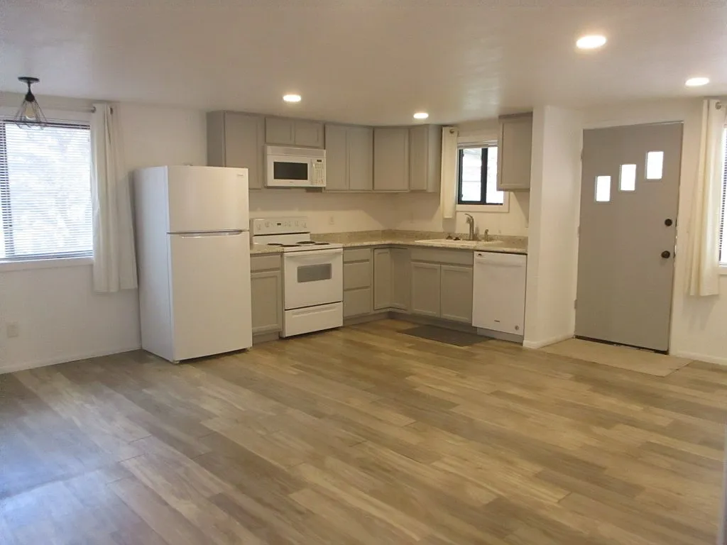 1 bed, 709 sqft, $1,250 — Photo 2