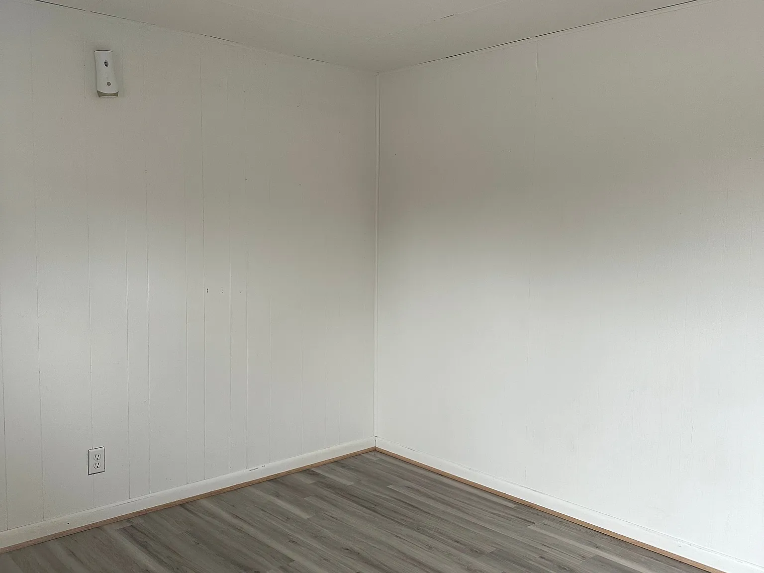 1 bed, 575 sqft, $800 — Photo 2