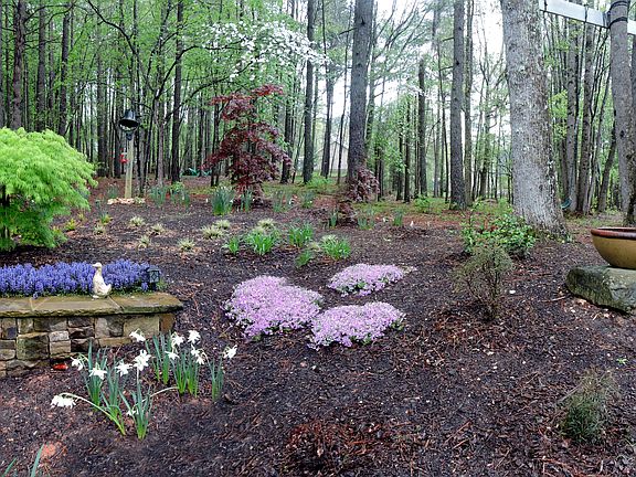 BAckyard landscaping.