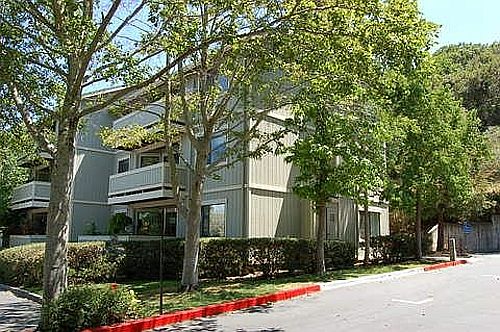 Building View