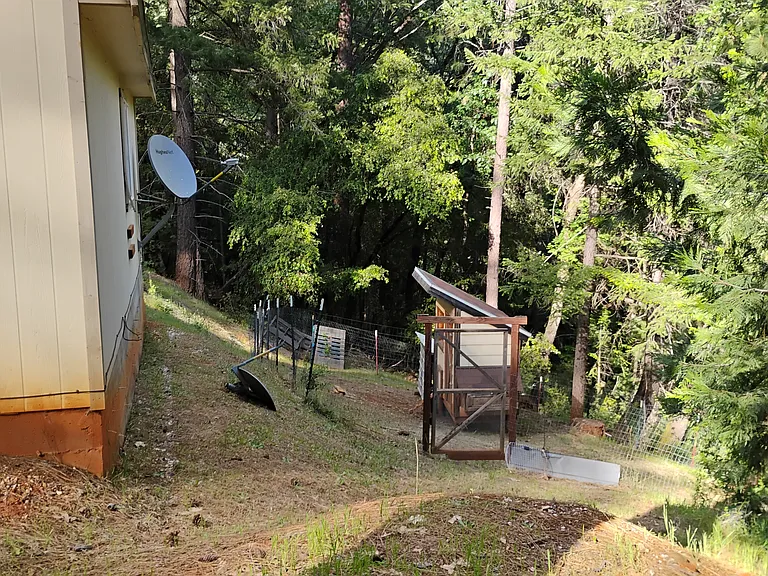 11876 Paradise Ln — Photo 11