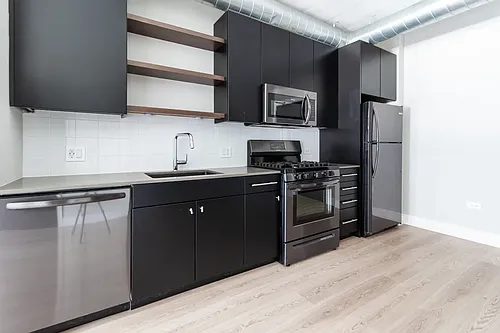 1043 W Belmont Ave #403 Photo 1