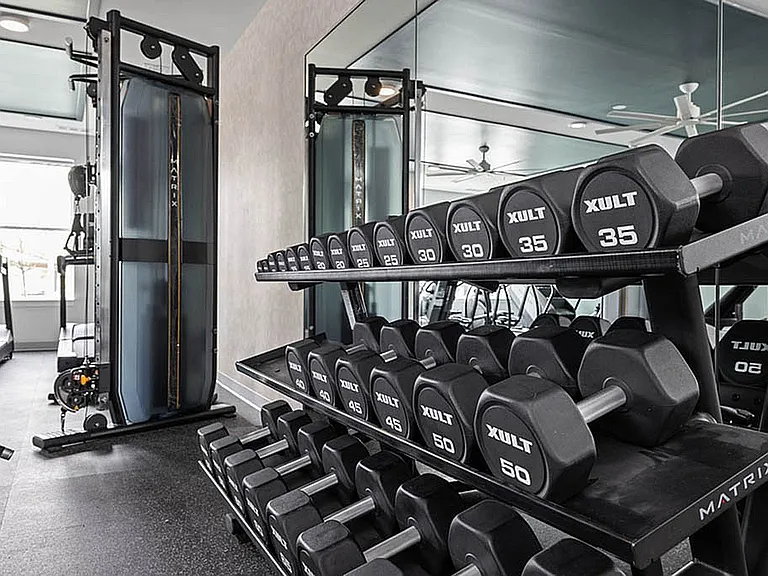 Modern Fitness Center Featuring Dumbbells