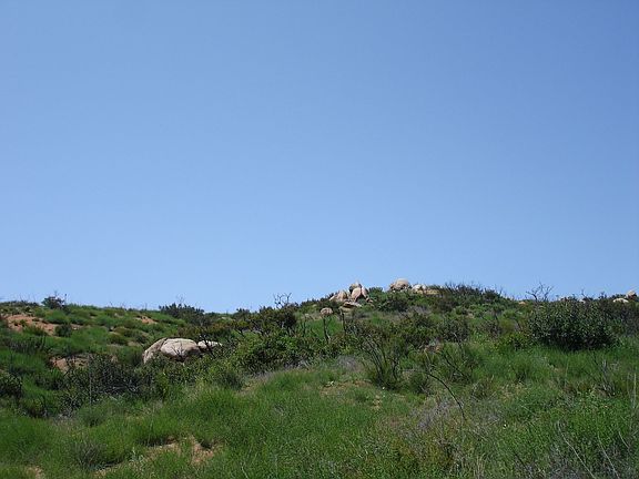 5th image of 18345 Highway 94