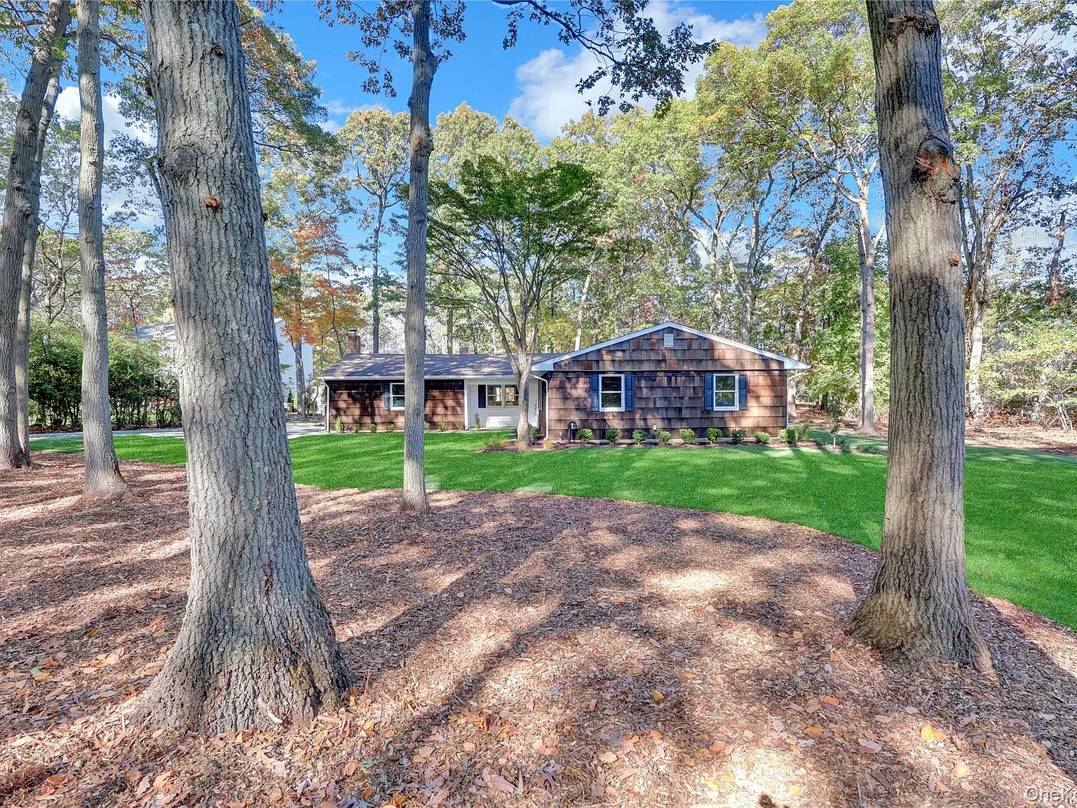 3 bed, 2.0 bath, 1769 sqft, $5,000 — Photo 3