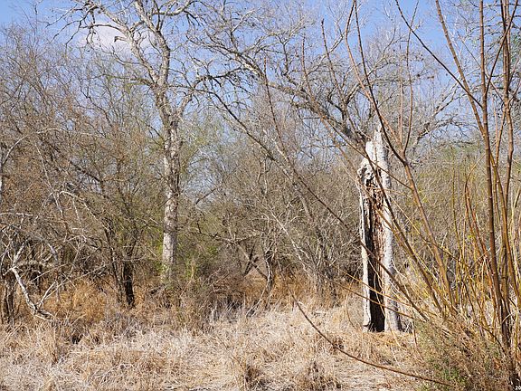4th image of 0 County Road 406