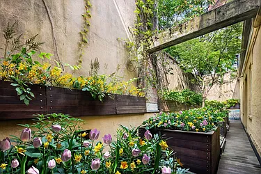 Sold by Douglas Elliman Real Estate (DO NOT USE)