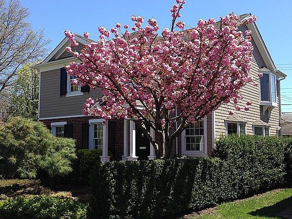 5th image of 158 Meadow St