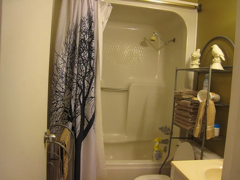 580 Pleasure Pier Dr #213 — Photo 12