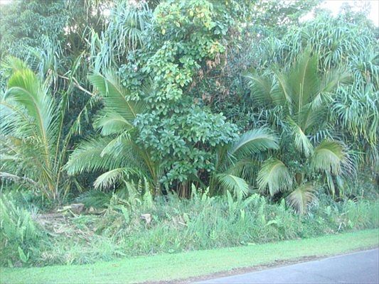 1st image of 15-2790 Honu St Lot 331