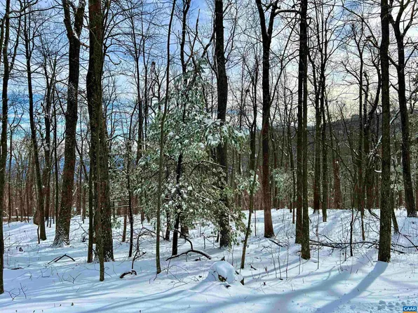 7 Wolftrap Ln, Roseland, VA 22967