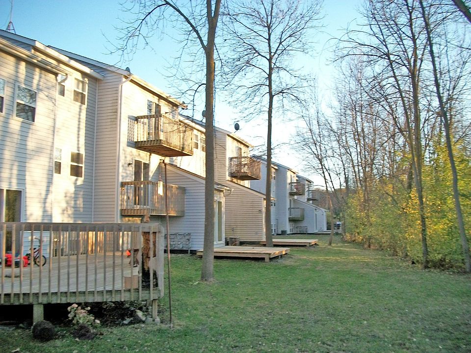 Wooded Backyard