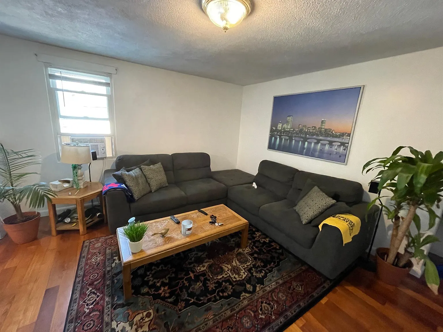 3 bed, 1.5 bath, $3,900 — Photo 4