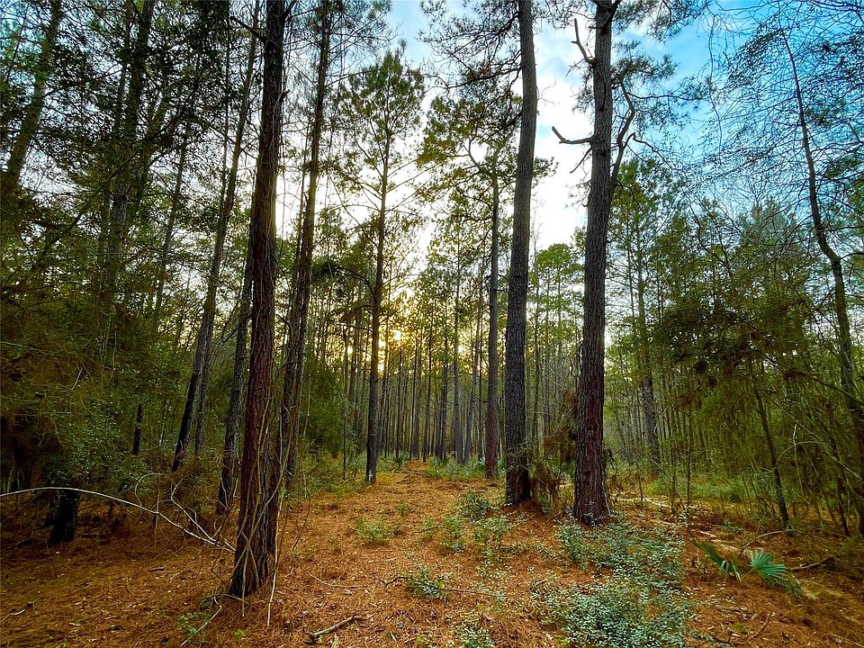 1st image of 1-1-31 Texas Grand Rd