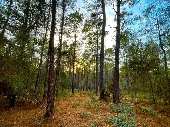 1-1-31 Texas Grand Rd, Huntsville, TX 77340