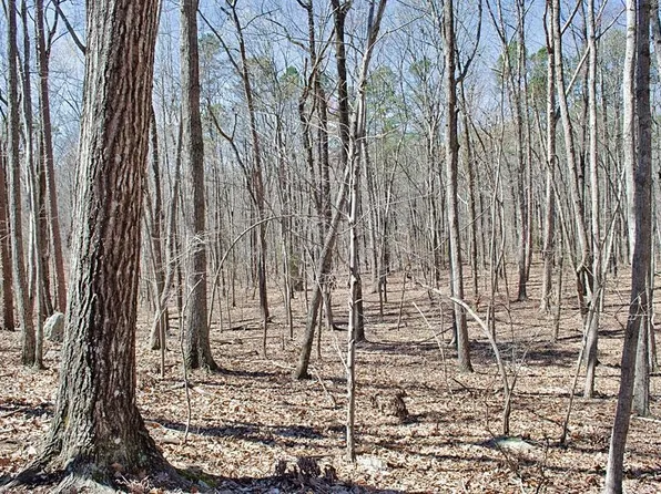 20 Fire Tower Dr Lot 20, Rougemont, NC 27572