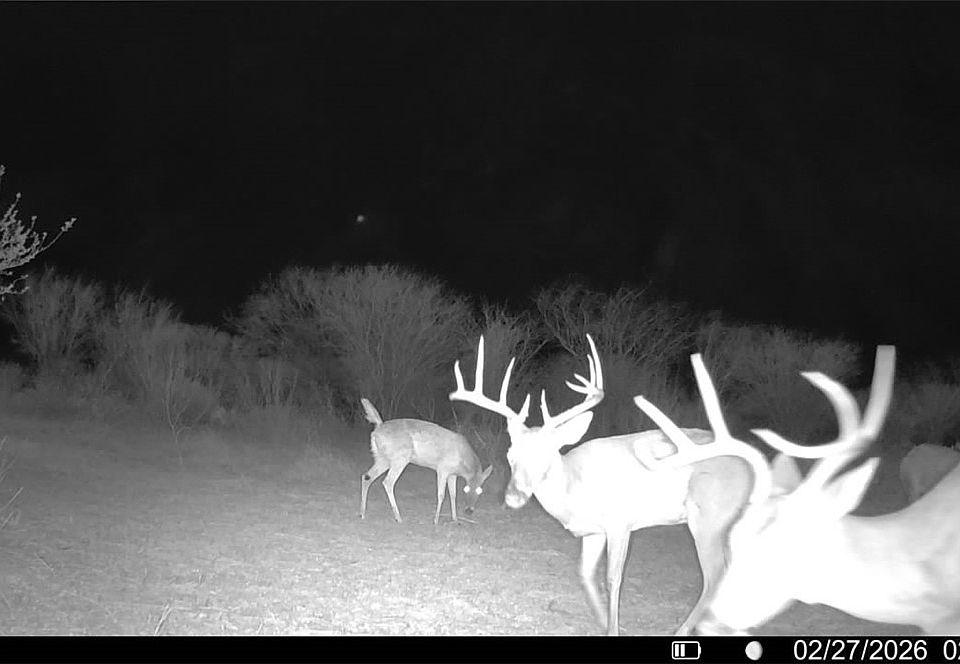 1st image of 0 County Road 119