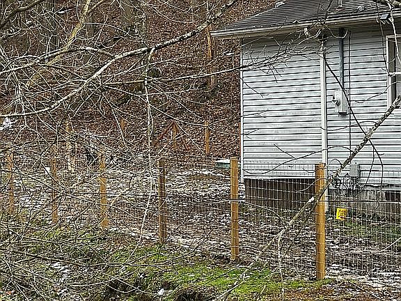 3rd image of 2213 Big Pigeon Rd