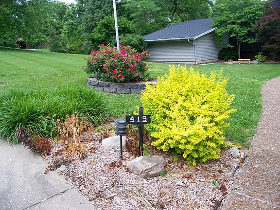 3rd image of 419 Valley Park Dr