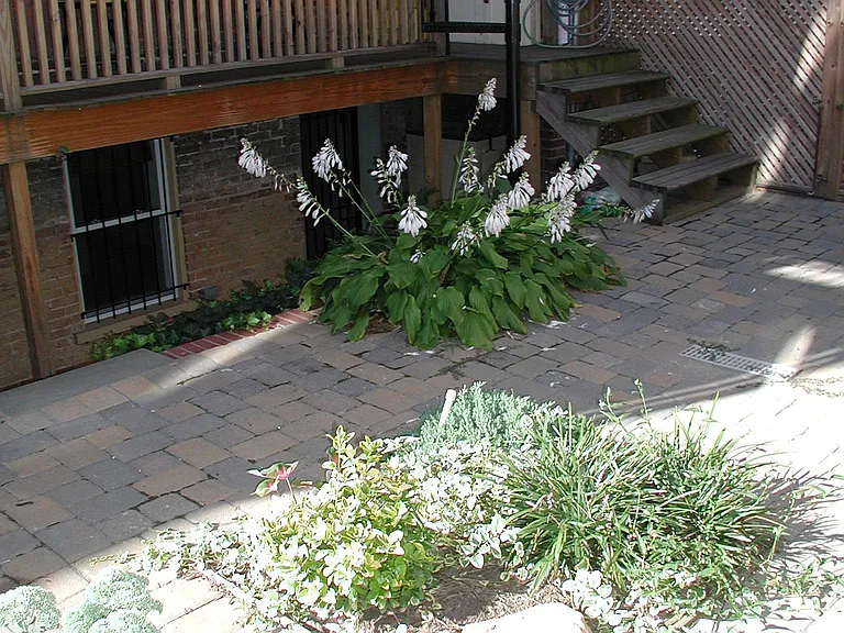 1707 Euclid St NW #C — Photo 9