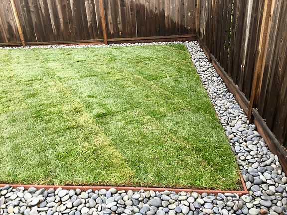 Backyard lawn w/ river rock