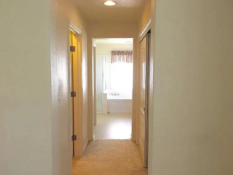 master cabinet & closet