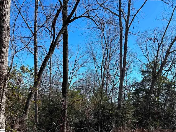 113 Rolling Green Cir, Greenville, SC 29615