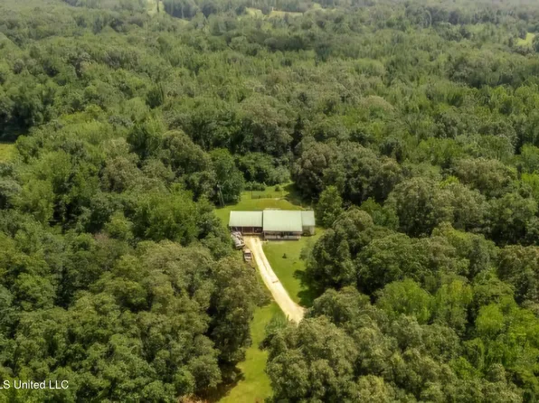 247 Sandy Branch Rd, Sarah, MS 38665