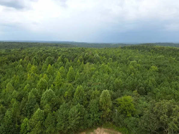 0 Holmes Drake Rd, Falkville, AL 35622