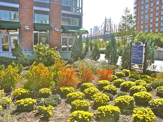 Sold by Sotheby's International Realty | media 12
