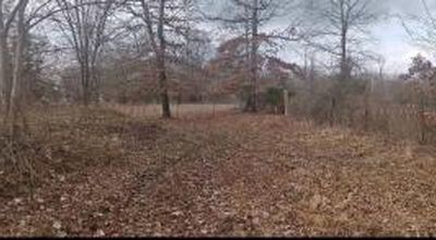 County Road 2241, Hartman, AR, 72840