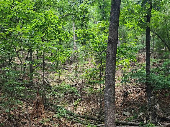 3rd image of 0 Cedarglade Rd Lot Wp000