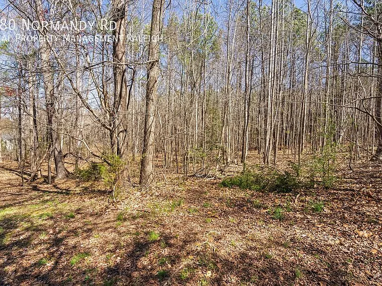 180 Normandy Rd — Photo 32