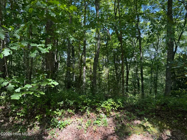 Lot 3 Amber Lane, Topton, NC 28781