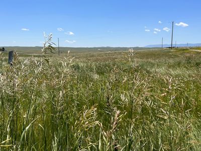 405 Trabing Rd, Buffalo, WY, 82834