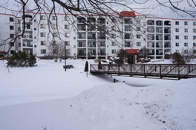 1st image of 375 Plum Creek Dr APT 508