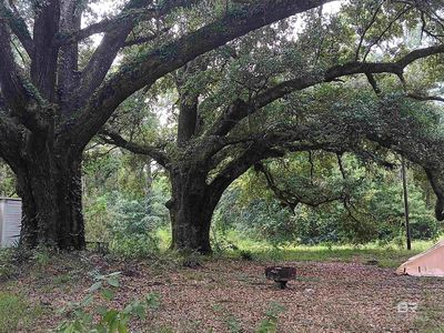 42311 Dixon Rd S, Bay Minette, AL, 36507